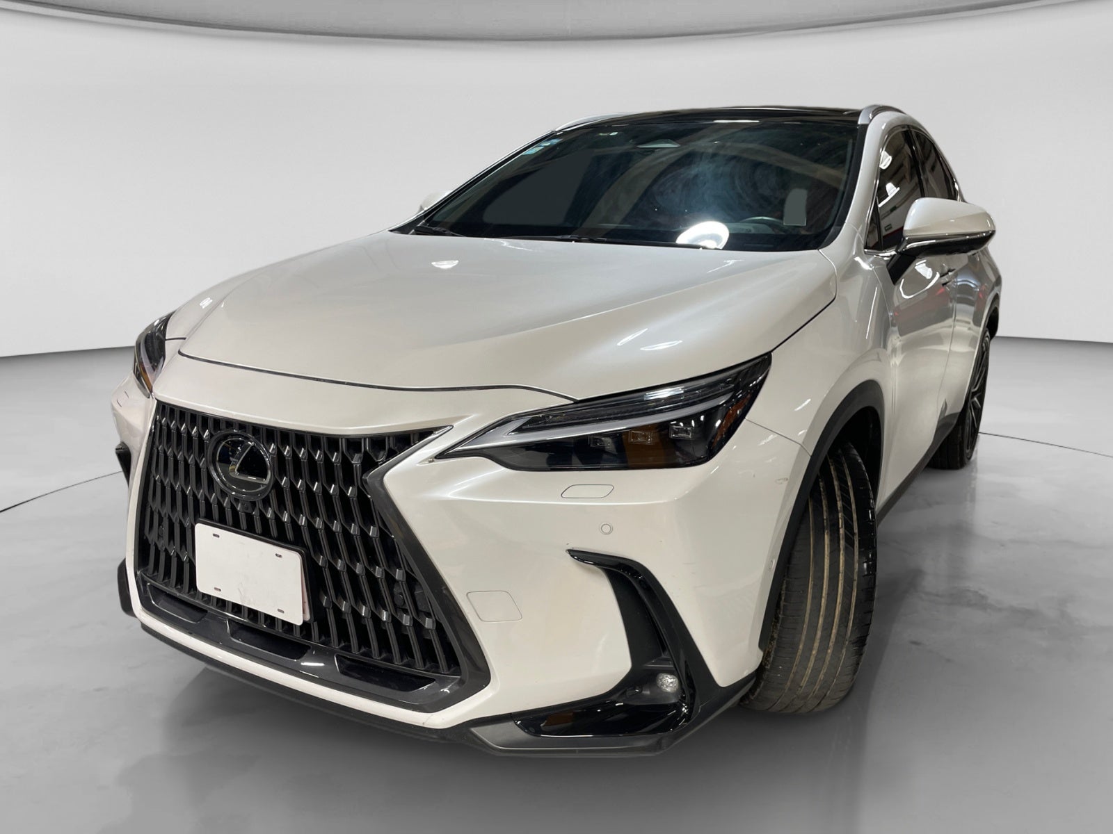 2024 Lexus LEXUS NX 350H AWD LUXURY