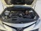 2019 Toyota CAMRY XLE