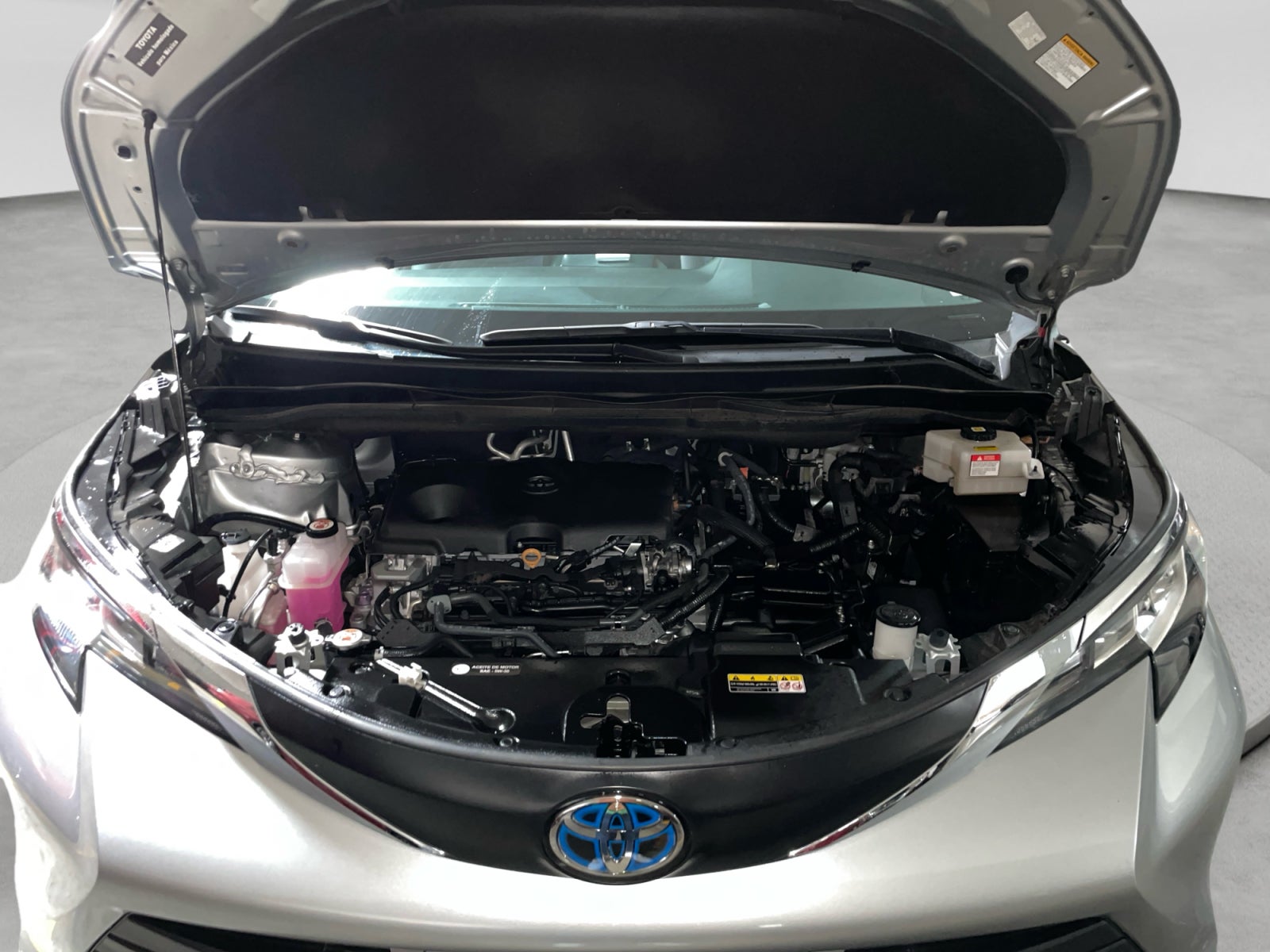 2023 Toyota SIENNA XLE PIEL