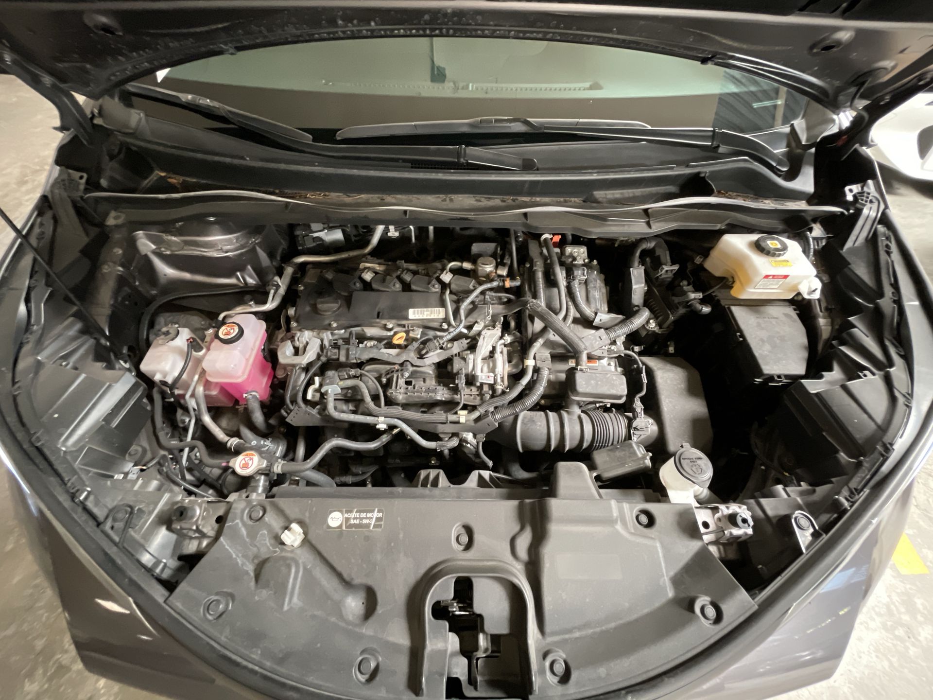 2021 Toyota SIENNA XLE PIEL