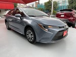 2024 Toyota COROLLA LE HEV