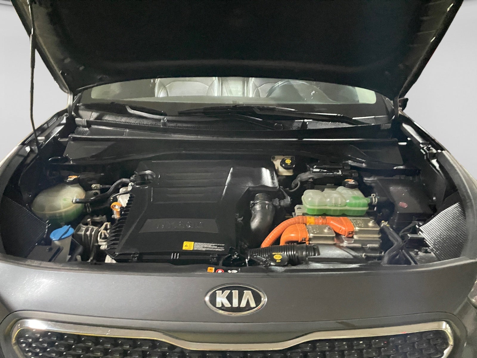 2019 Kia NIRO 1.6L GDI EX T/A