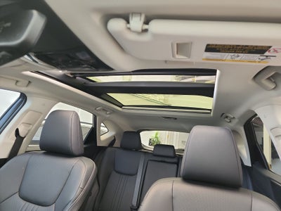 2025 Lexus LEXUS NX 250 AWD BASE