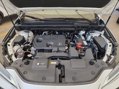 2025 Lexus LEXUS NX 250 AWD BASE