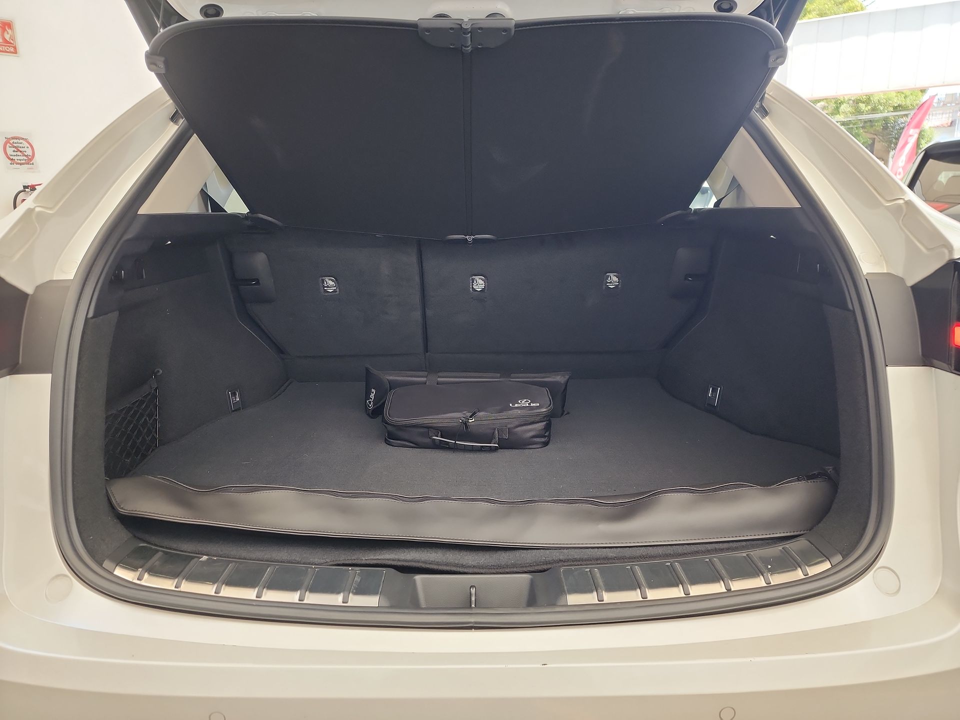 2025 Lexus LEXUS NX 250 AWD BASE