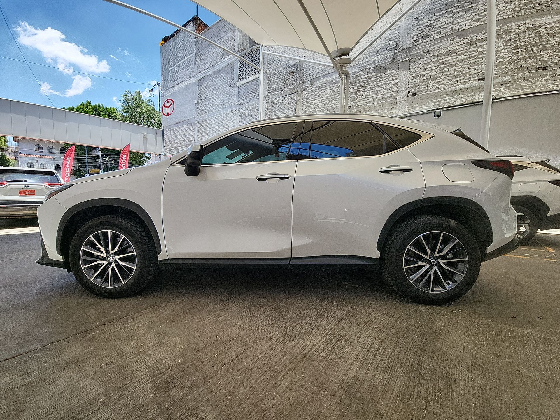 2025 Lexus LEXUS NX 250 AWD BASE