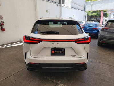 2025 Lexus LEXUS NX 250 AWD BASE