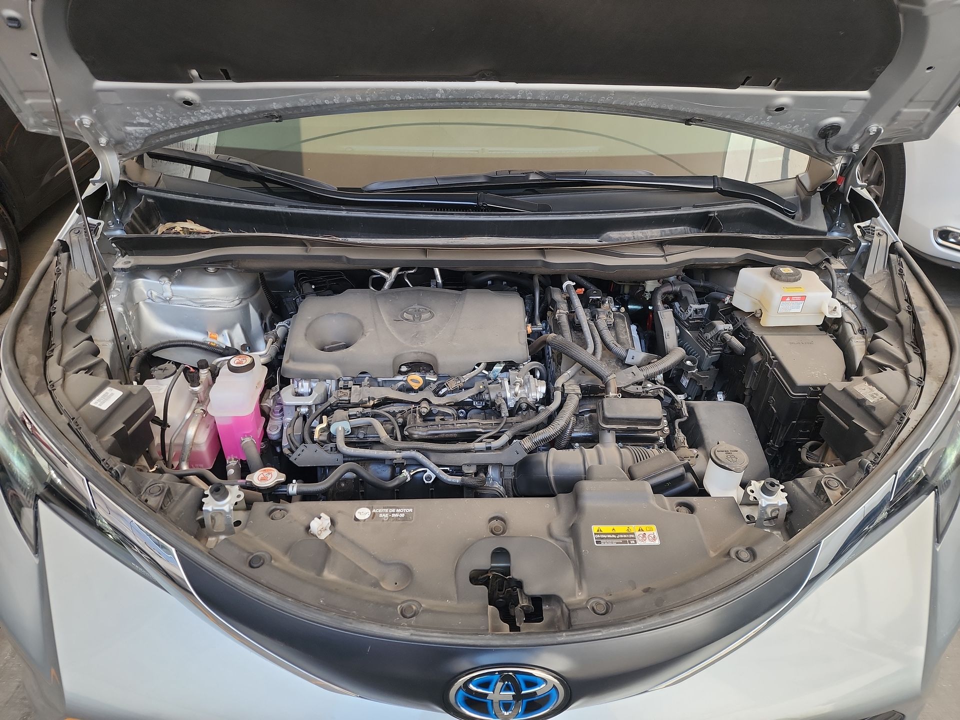 2025 Toyota SIENNA LE HEV