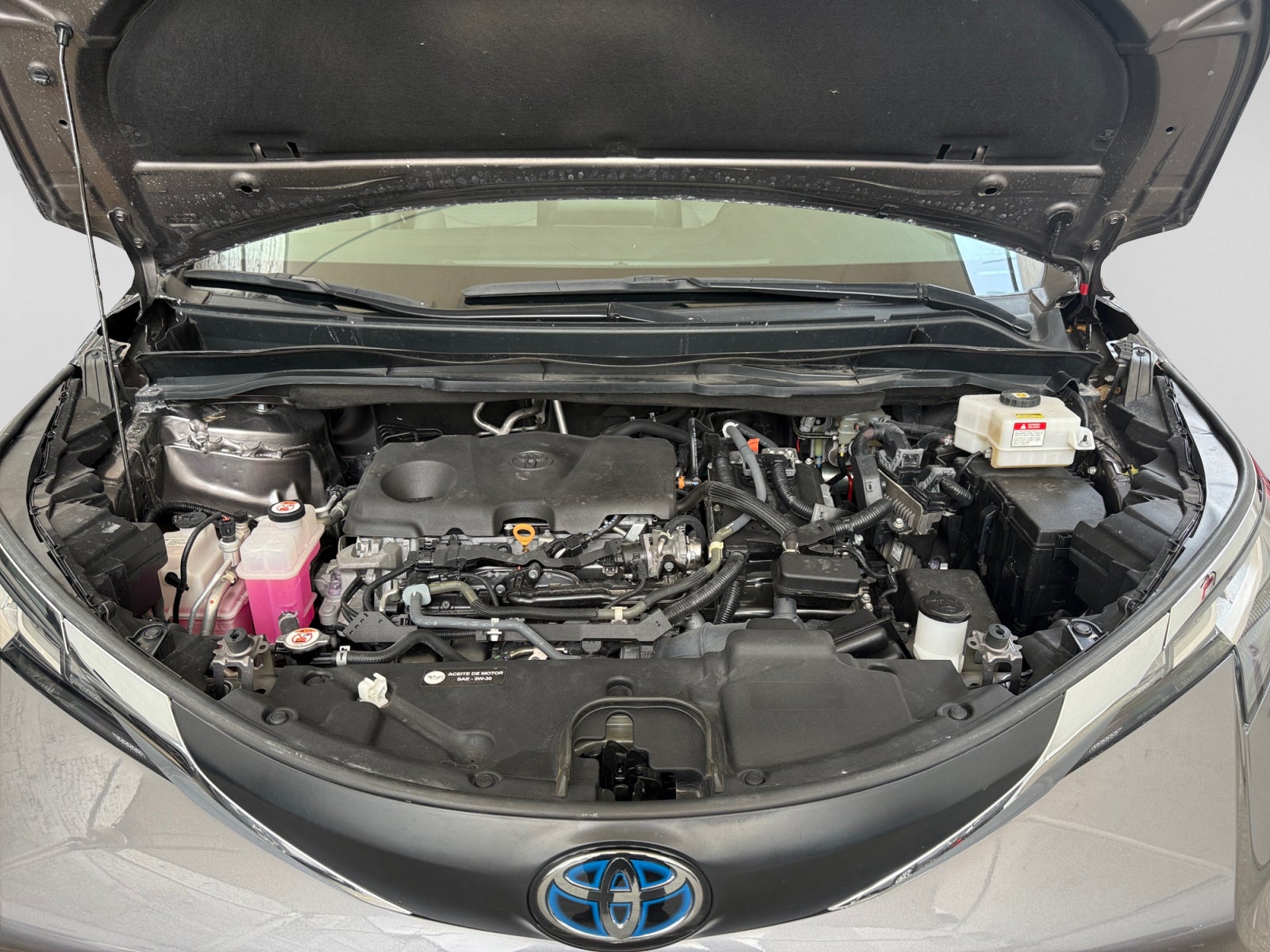 2022 Toyota SIENNA LE