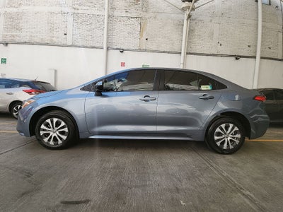 2024 Toyota COROLLA LE HEV