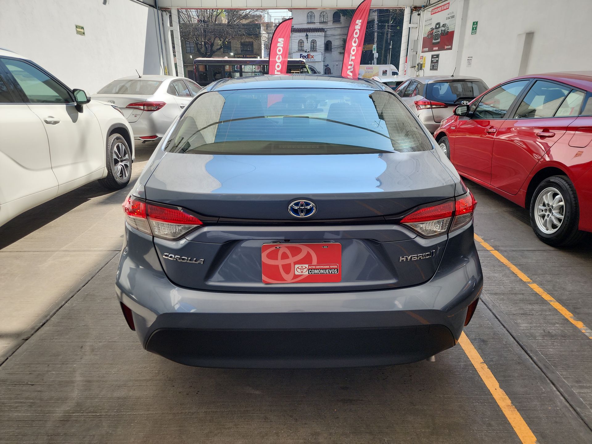 2024 Toyota COROLLA LE HEV