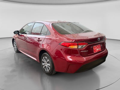 2023 Toyota COROLLA LE HEV