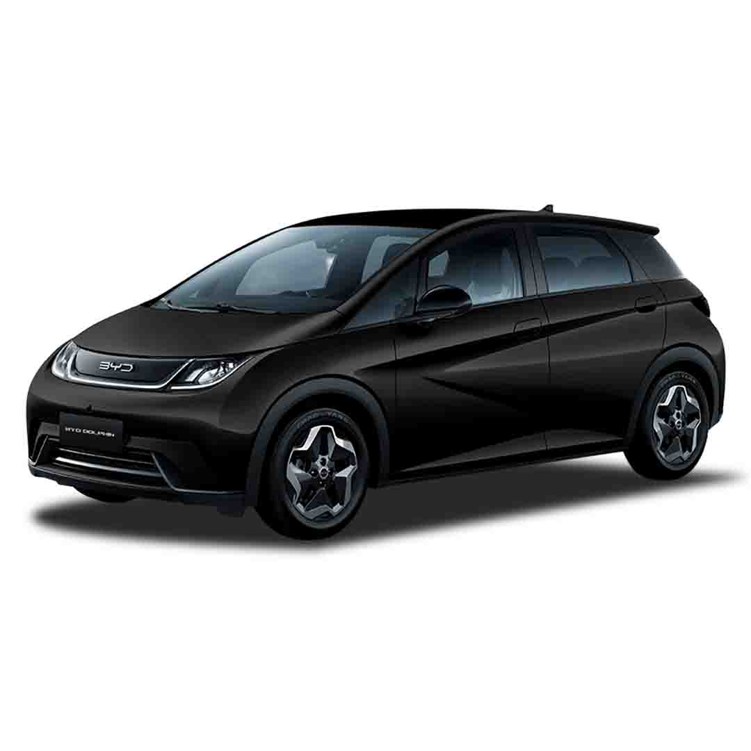 2026 BYD DOLPHIN DOLPHIN MINI 300 KM