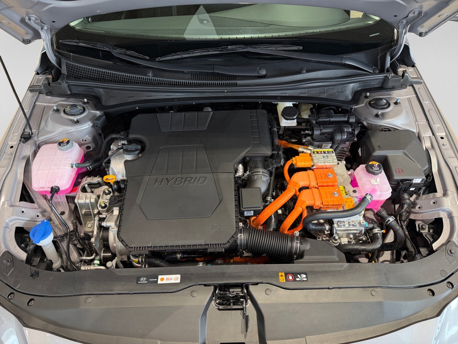 2026 Hyundai ELANTRA GLS PREMIUM DCT HEV