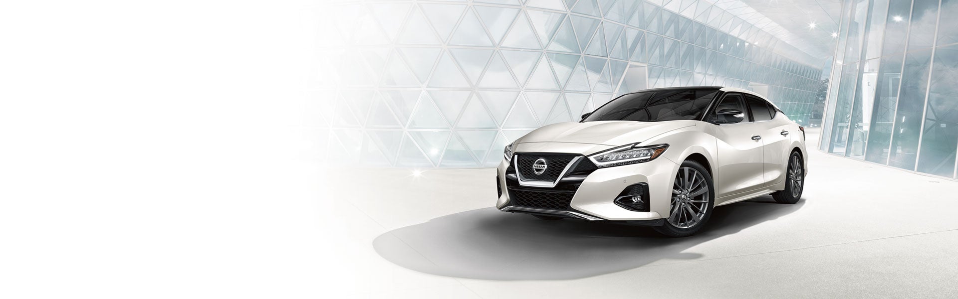 Nissan Maxima Banner